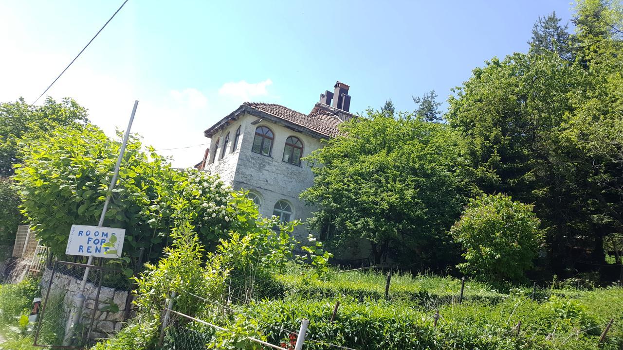 Villa Pandora Mavrovo Exterior foto